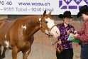 23-APHA SS_073